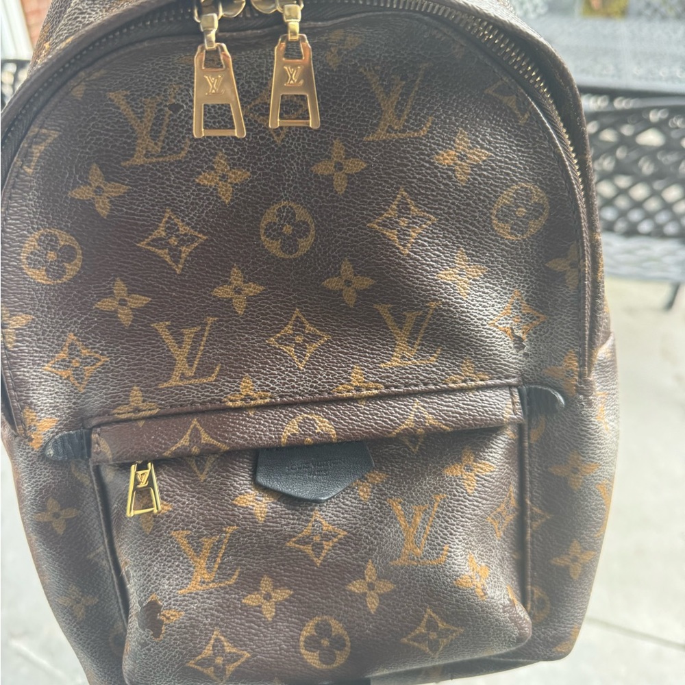 Louis Vuitton Monogrammed Palm Springs PM - Picture 5 of 16